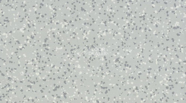 Линолеум Taralay Premium Compact Barazilia 8736 RECIFE фото 1 | FLOORDEALER
